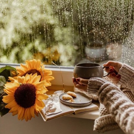 Зима за окном а на окне чай цветы книга