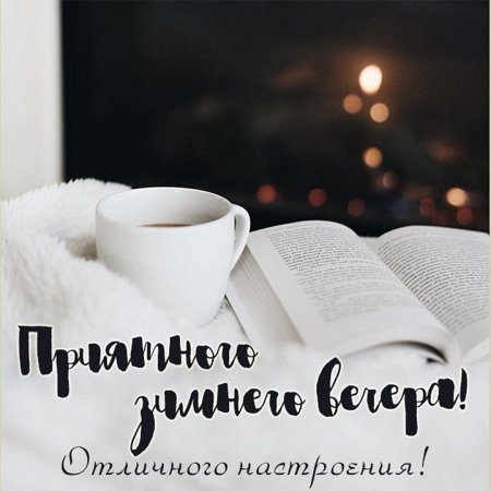 Прчтного зимнего Ансера