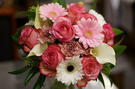 Пионовидные герберы