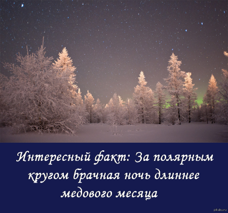 Северная природа цитаты