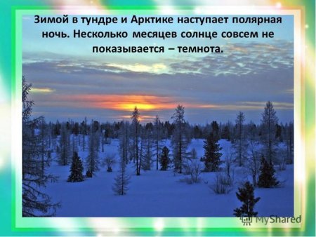 Полярная ночь презентация 5 класс