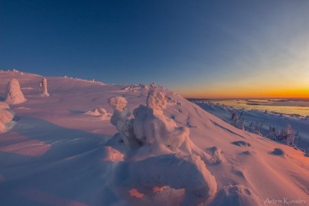 Полярный день в Заполярном