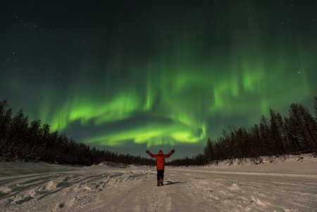 Полярная ночь