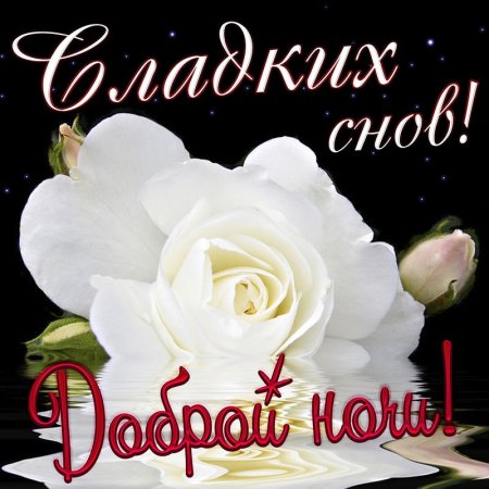 Открытки спокойной ночи женщине