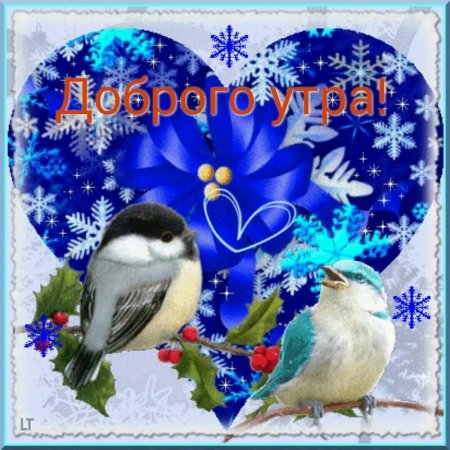 Открытки прекрасного зимнего дня
