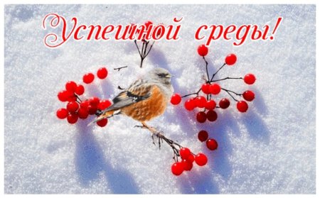 Доброго зимнего дня среды