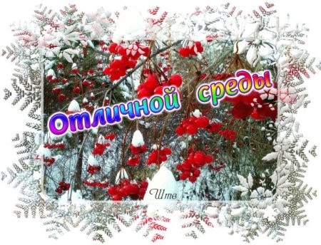Отличной зимней среды