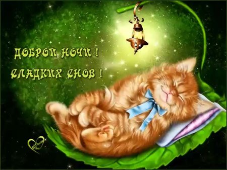 Доброй ночи сладких снов