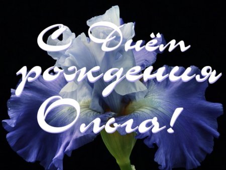 Поздравления с днём рождения Ольге