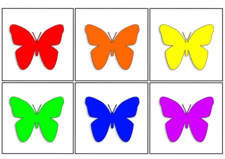 Бабочки разных цветов