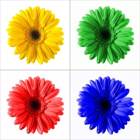 Предметы разных цветов