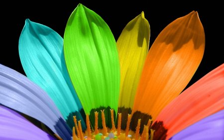 «Семицветик» в. и. Ашиков, с. г. Ашикова.