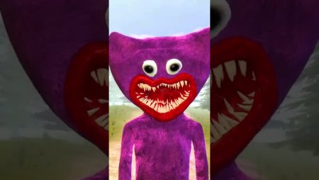 Хаги вагои и Кисси МИСИ