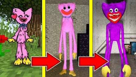 Киси МИСИ Поппи плэй тайм