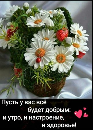 Хорошего дня ромашки