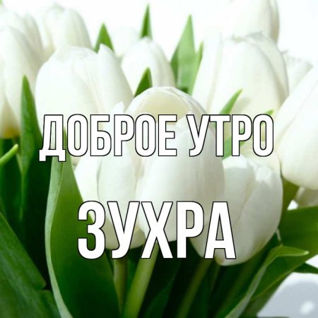 Доброе утро Светлана Александровна