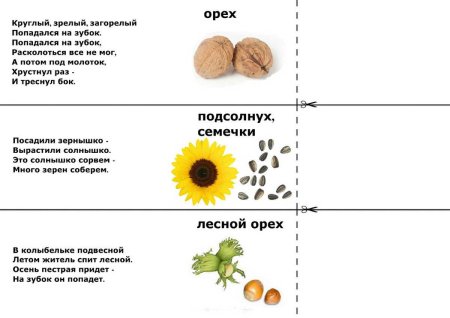 Загадки для детей 10 лет с ответами самые сложные