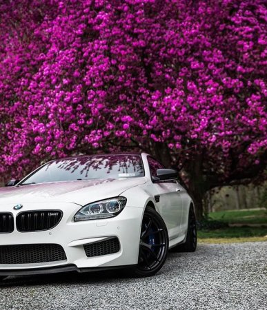 BMW m6