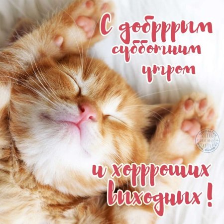 Сдобрым Субботнем утром