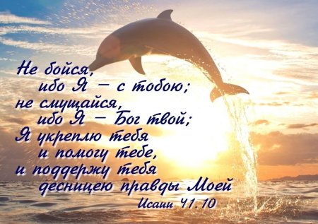 Стихи из Библии в картинках