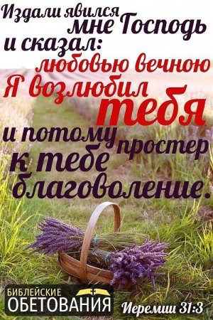 Цитаты и стихи из Библии