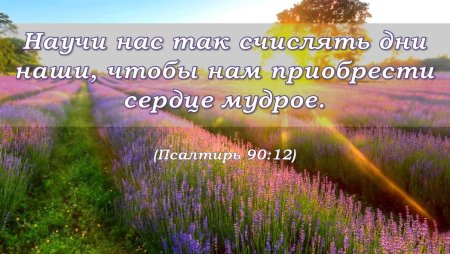 Стихи из Библии