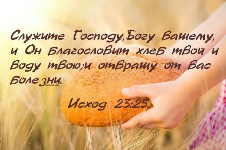 Цитаты из Библии