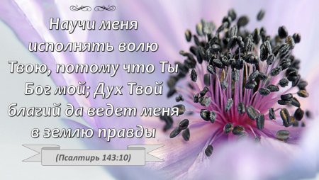 Христианские открытки с текстом из Библии