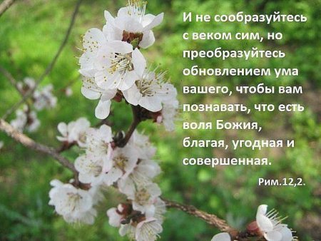 Христианские открытки с Цитатами