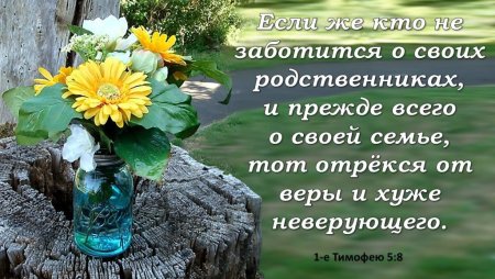 Христианские открытки с Цитатами из Библии