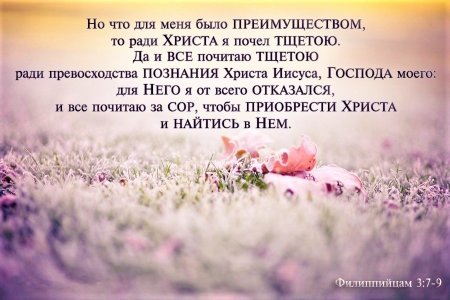 Стихи из Библии