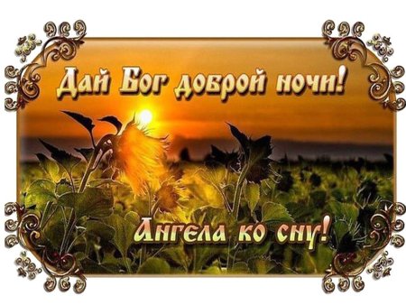 Ангела ко сну