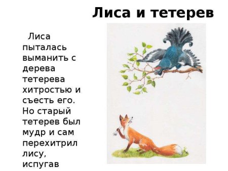 Лиса и тетерев картинки