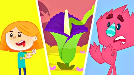 Катя и эф персонажи