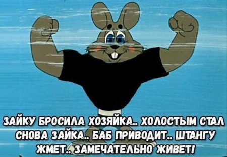 Зайку бросилатхозяйка