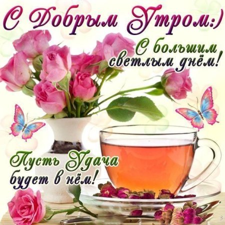 Пожелания с добрым утром и хорошего дня