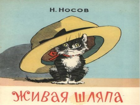 Иллюстрации из книги Живая шляпа