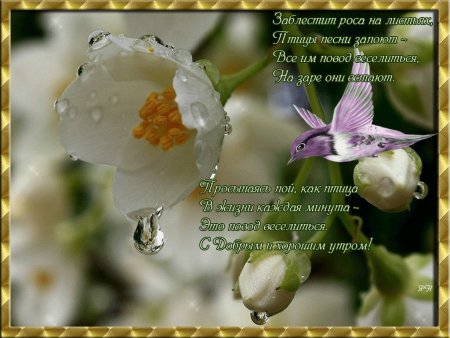 Православные поздравления с добрым утром