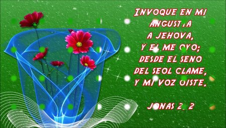 Тыуган Конон былэн улынды