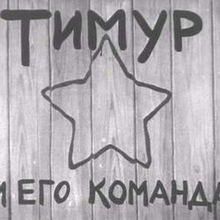 Тимур и его команда звезда на заборе