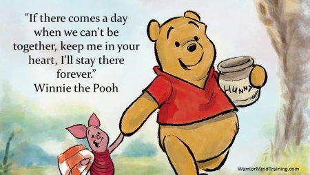 Винни пух 19