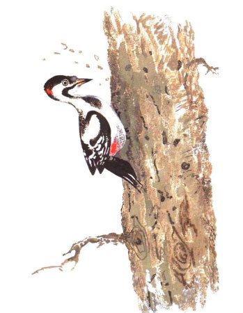 Виталий Бианки "кто чем поет?"