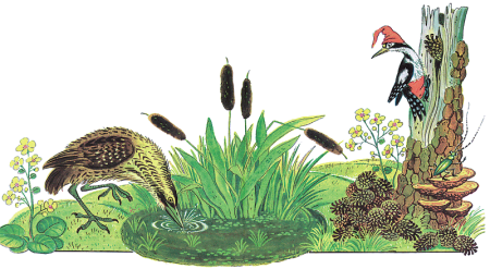 Бианки в.в. "кто чем поет?"