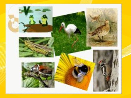 Бианки в.в. "кто чем поет?"