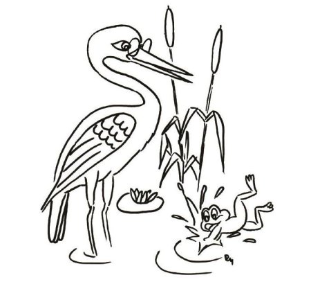 Цапля и лягушка раскраска