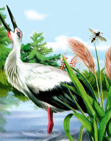 Виталий Бианки "кто чем поет?"