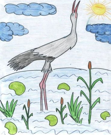 Бианки кто чем поет иллюстрации