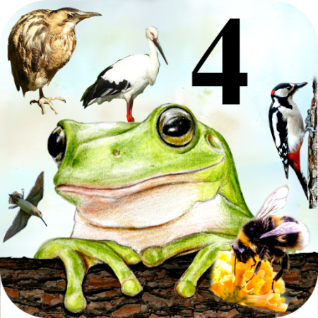 Бианки кто чем поет иллюстрации