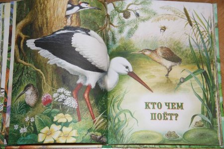 Виталий Бианки "кто чем поет?"