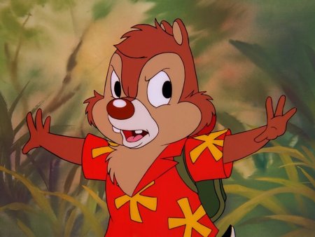 Чип и Дейл Дейл